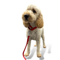 Load image into Gallery viewer, Martingale Dog Collar - Southlake Paws
