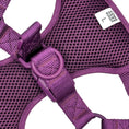 Load image into Gallery viewer, Step In Dog Harness - Southlake Paws
