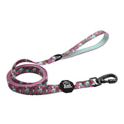 Melting Pot  Leash 