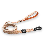 Teddy Hearts Leash 