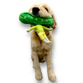 Load image into Gallery viewer, Pea Nose Work Dog Toy - Southlake Paws
