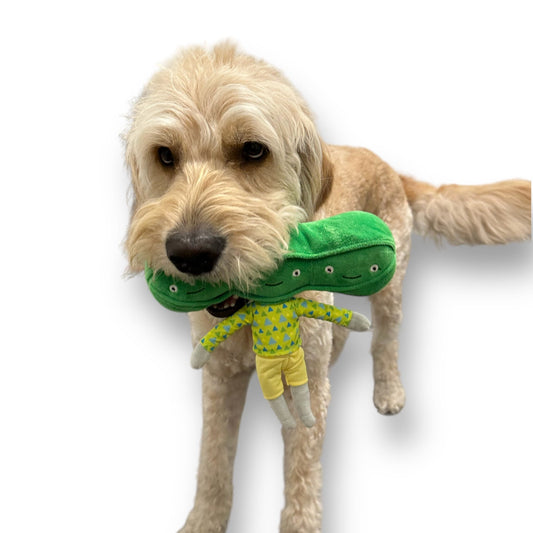Pea Nose Work Dog Toy - Southlake Paws