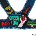 Load image into Gallery viewer, Green Day Harness
