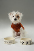 Load image into Gallery viewer, DERPY BOWL
