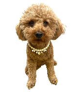 Pearl Charm Necklace with Pink Bow 