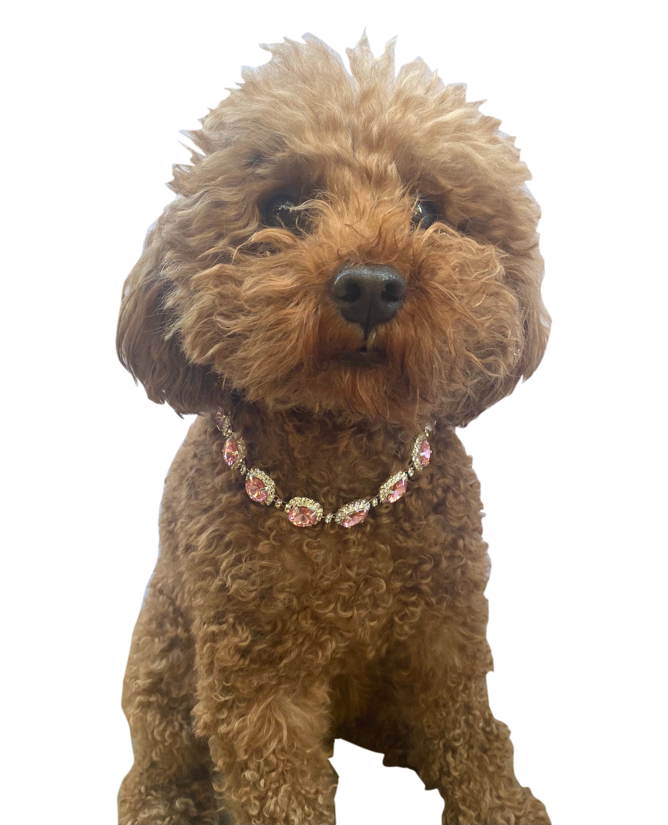 Pink Crystal Rhinestone Dog Necklace 