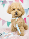 Load image into Gallery viewer, Drew Dog Leash
