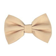 Créam Brûlée - Bow Tie 