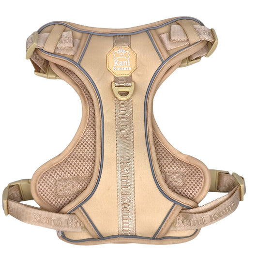 Créam Brûlée - Adventure Harness 