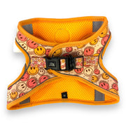 All Smiles - Step-in Harness 