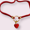 Load image into Gallery viewer, My Sweet Petite – Luxury Velvet Rope Dog Collar Necklace 
