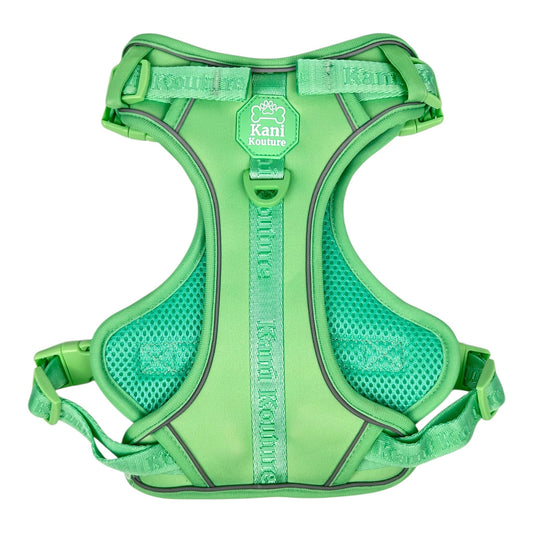Mint Meadows - Adventure Harness 