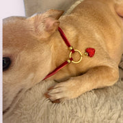 My Sweet Petite – Luxury Velvet Rope Dog Collar Necklace 