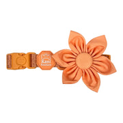 Coral Rush - Flower Tie 