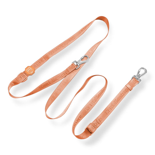 Coral Rose - Hands Free Leash 