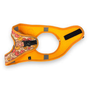 All Smiles - Step-in Harness 