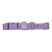 Lavender Lush - Adjustable Collar 