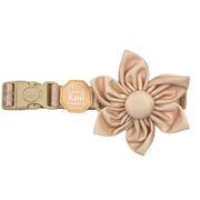 Créam Brûlée - Flower Tie 