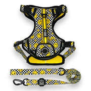 Happy Squares - Adventure Harness 