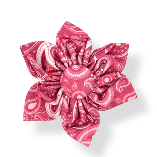Pink Paisley - Flower Tie 