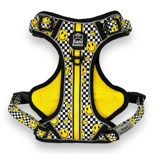 Happy Squares - Adventure Harness 