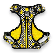 Happy Squares - Adventure Harness 