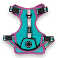 Load image into Gallery viewer, Miami Vice - Adventure Harness 
