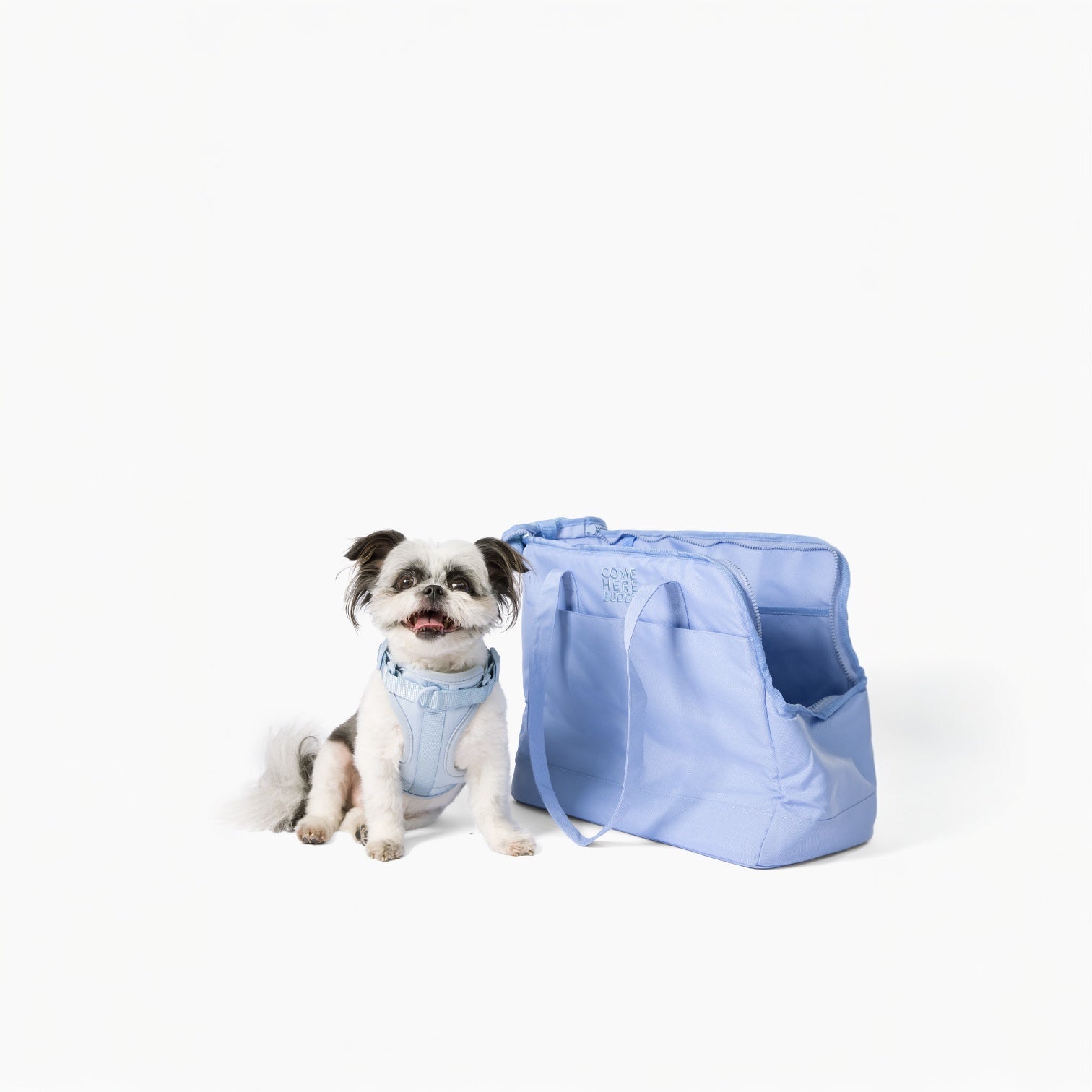 Come Here Buddy Pet Tote Bag - Southlake Paws