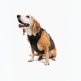 Load image into Gallery viewer, Harness - Southlake Paws
