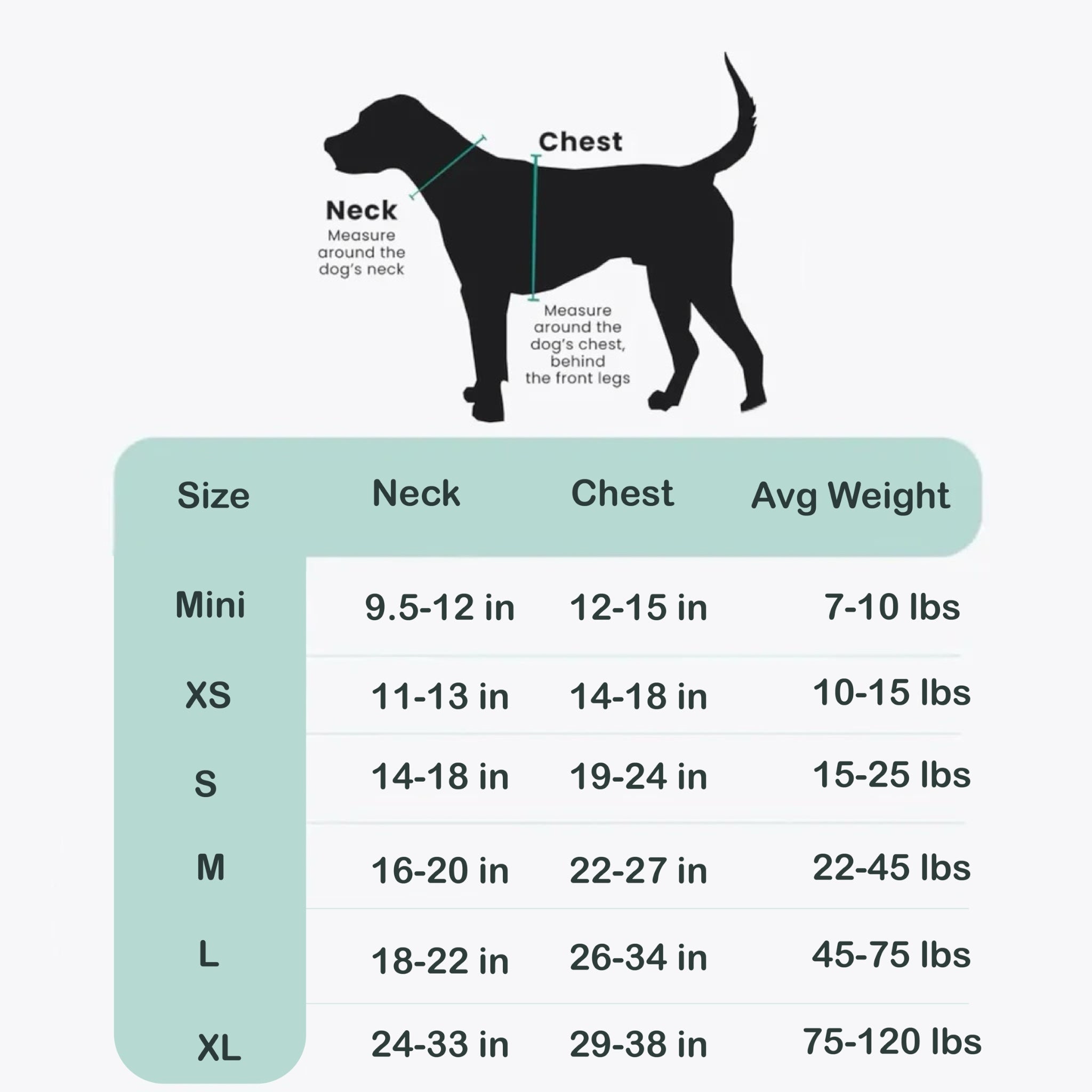 PB&J - Adventure Harness 