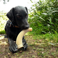 Load image into Gallery viewer, Black dog chewing on a Flufflehorn Dental Antler chew toy in a grassy outdoor setting.
