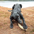 Load image into Gallery viewer, Flufflehorn Dental Antler - Indestructible Nylon Dog Chew Toy XL | USA Made
