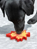 Load image into Gallery viewer, Canadian Maple Leaf Nylon Dog Chew Toy - Indestructible & USA Made
