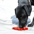 Load image into Gallery viewer, Canadian Maple Leaf Nylon Dog Chew Toy - Indestructible & USA Made
