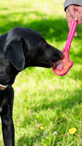 Load image into Gallery viewer, eStick Hand-Held Dog Enrichment Toy - Interactive Lick Stick | USA Made
