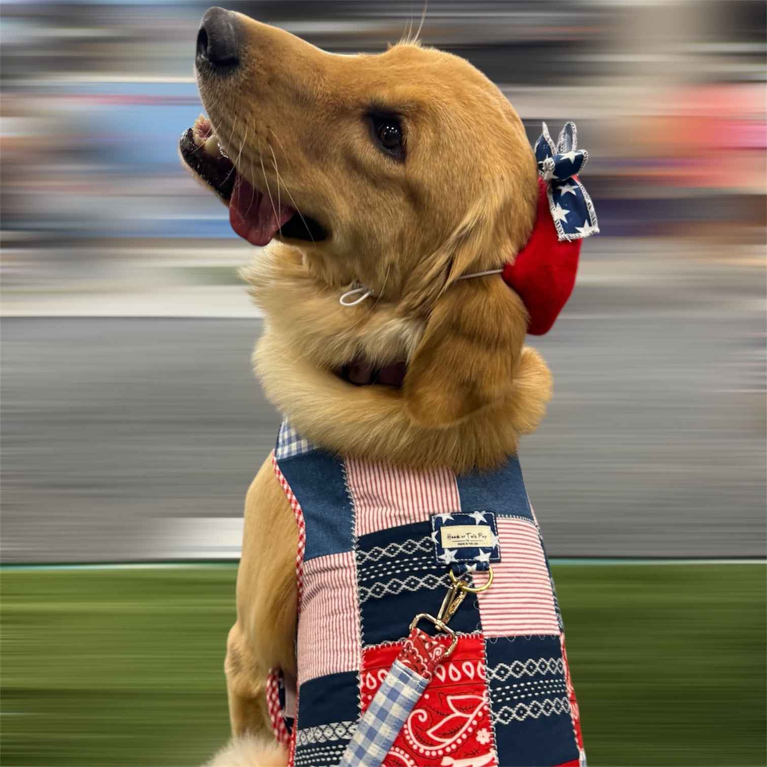 Picnic Keepsake Harness