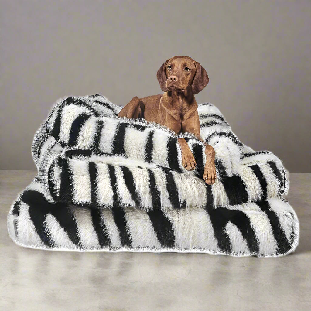 Piazza Bed White Bengal