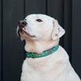 Load image into Gallery viewer, Pickleball Dog Collar
