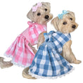 Load image into Gallery viewer, Gingham Picnic Dress
