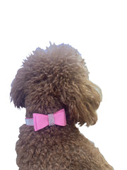 Bow Tie Dog Collar in Pleather, Pink 