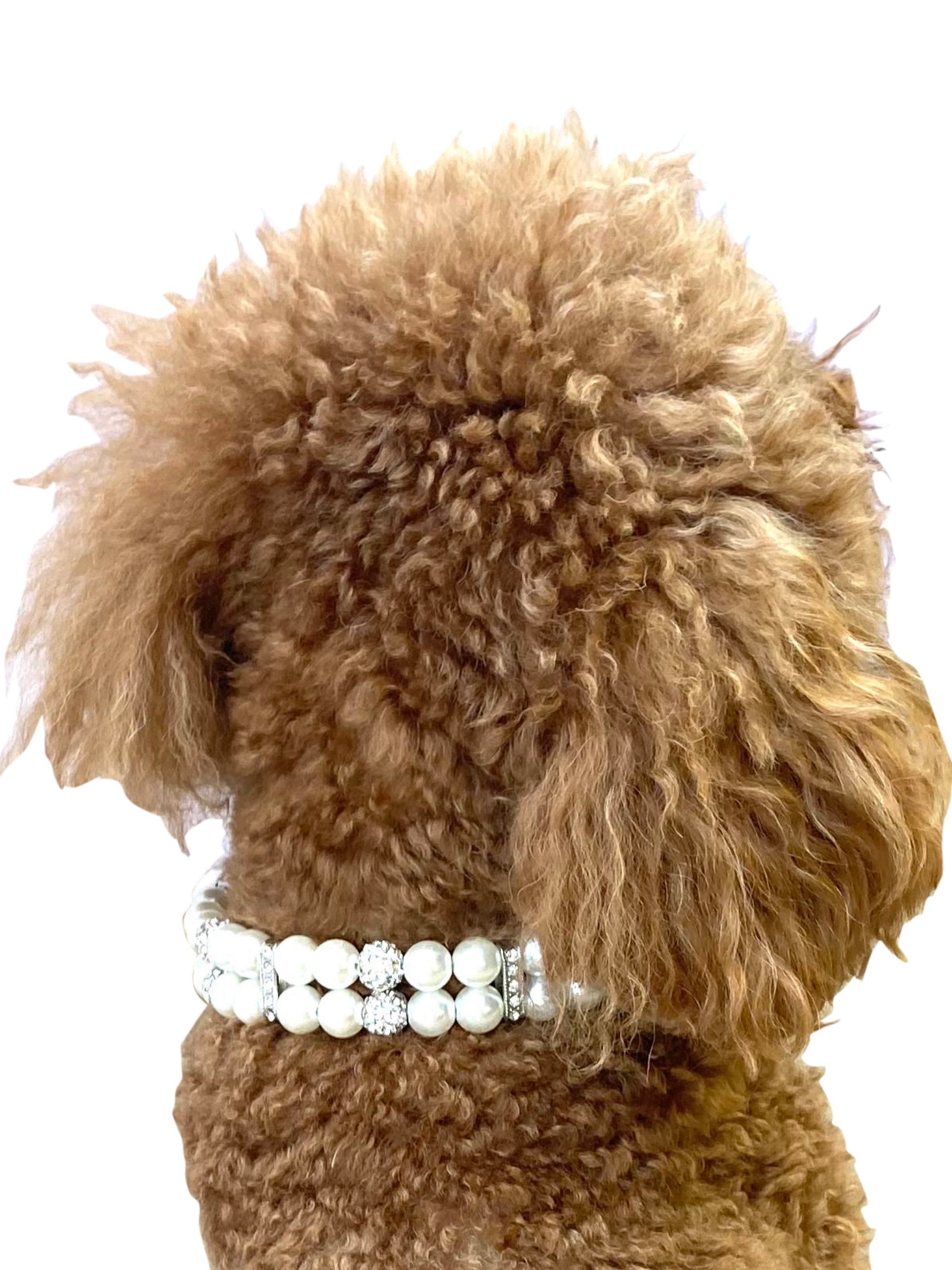 Sparkle & Pearl Dog Collar, Ivory 