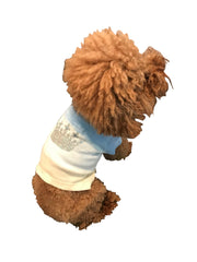 Dippy Crown tee, Blue