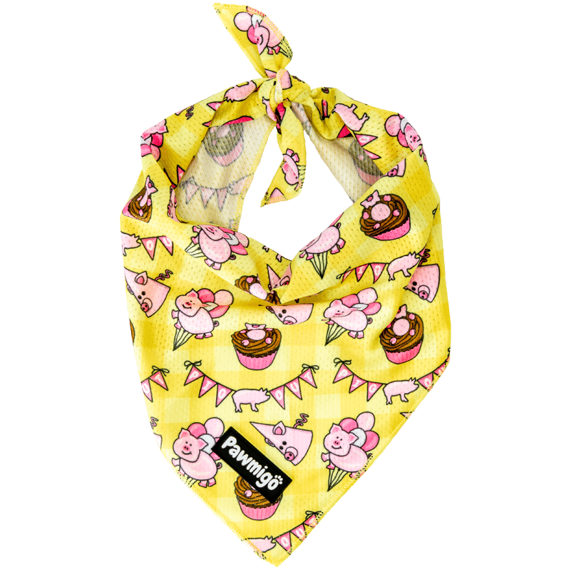 Pig Out Bandana - Southlake Paws