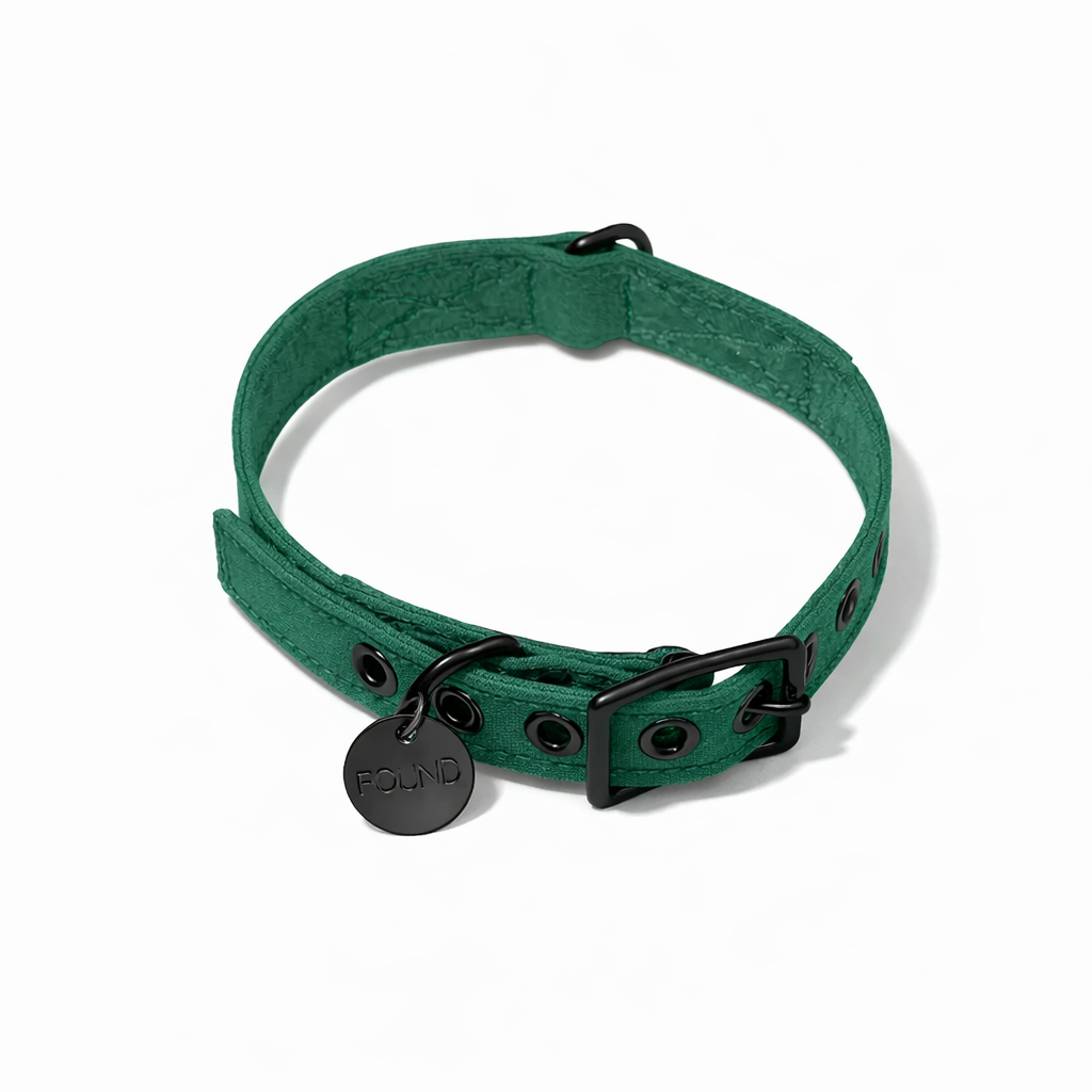 Pine Waxed Cotton Canvas Cat & Dog Collar – Matte Black Hardware