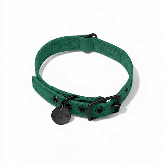 Pine Waxed Cotton Canvas Cat & Dog Collar – Matte Black Hardware