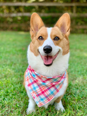 Pink & Blue Plaid Luxe Flannel Dog Bandana