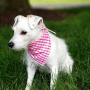 Pink | Hot Pink Gingham Tie Dog Bandana