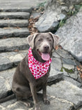 Load image into Gallery viewer, Pink Ombre Hearts Valentine Bandana
