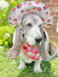 Load image into Gallery viewer, Pink Plaid Bandana
