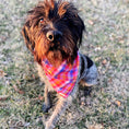 Load image into Gallery viewer, Pink Plaid Luxe Flannel Dog Bandana
